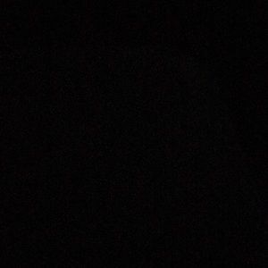 Meet your Posher, Lashonda